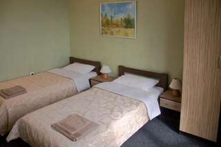 Мини-отель Пик Отель Драгобрат Двухместный номер с 1 кроватью или 2 отдельными кроватями и балконом-4